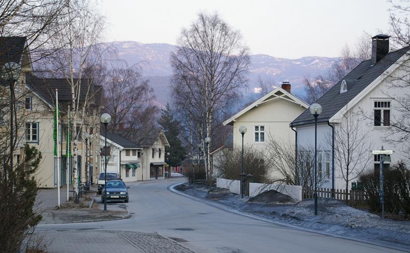 Gamle Nes er et helhetlig miljø med mange verneverdige bygninger av ulik type, tilknytta Nesbyens spesielle historie.