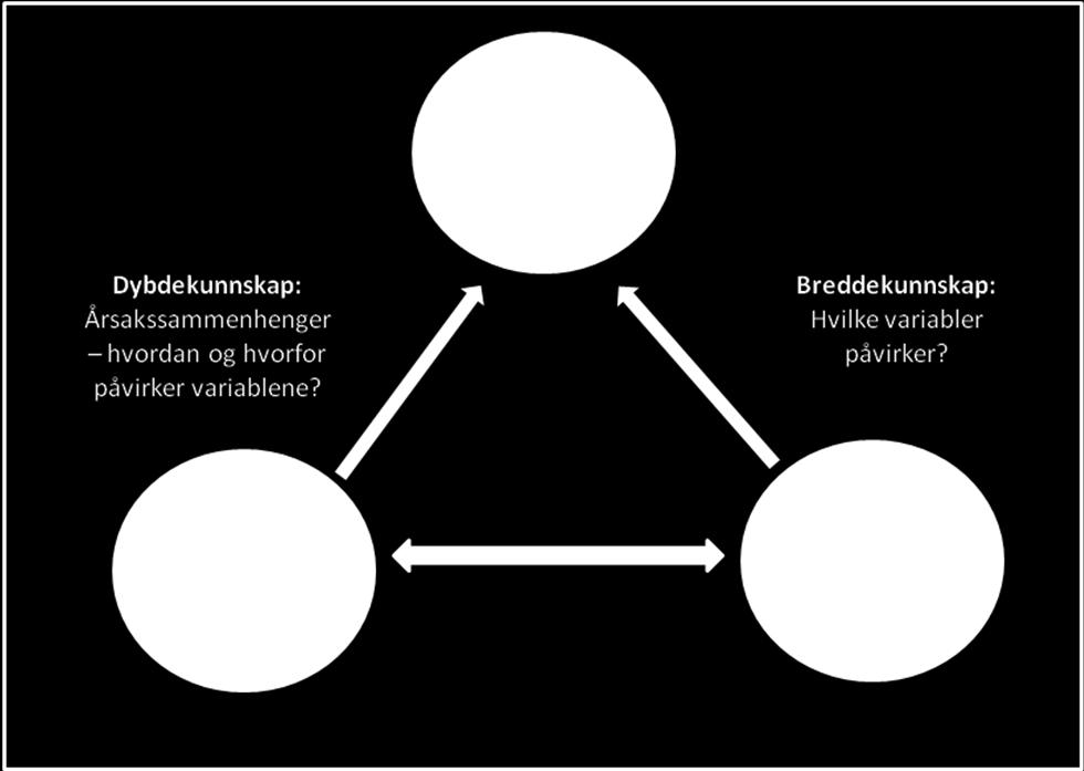 46 I vår studie vil en kombinasjon av metoder styrke analysen ved å bedre forståelsen av sammenhenger mellom bruk av ulike verktøy og lønnsomhet, med det resultat at validiteten i begge studiene vil