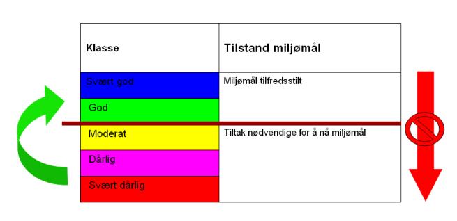 Enkel problemkartlegging og tiltaksanalyse for vassførekomsten Storåne - Votna 16 Figur 4.Vassforskrifta føresett at tilstand i overflatevatn skal ha minst god økologisk og kjemisk tilstand.