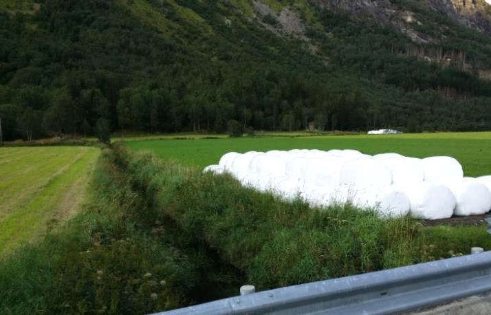 Enkel problemkartlegging og tiltaksanalyse for vassførekomsten Storåne - Votna 21 Figur 5.