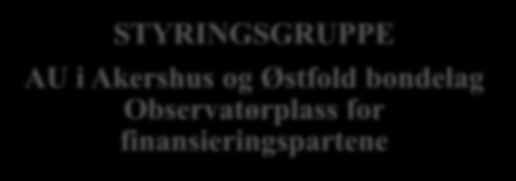 Observatørplass for finansieringspartene