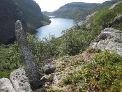 Grunnleggande føresetnader