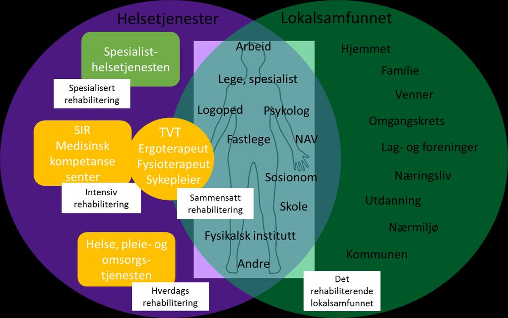 Et viktig skille mellom spesialisthelsetjenesten og kommunale tjenester er at de kommunale tjenestene i hovedsak skal være generalistbaserte, ikke oppdelt i spesialiserte enheter.