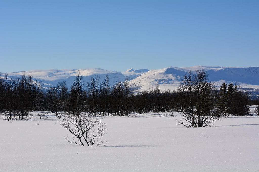 Mot Sikkilsdalen Tjønnholstind med Knutsholstindene på sin venstre side.