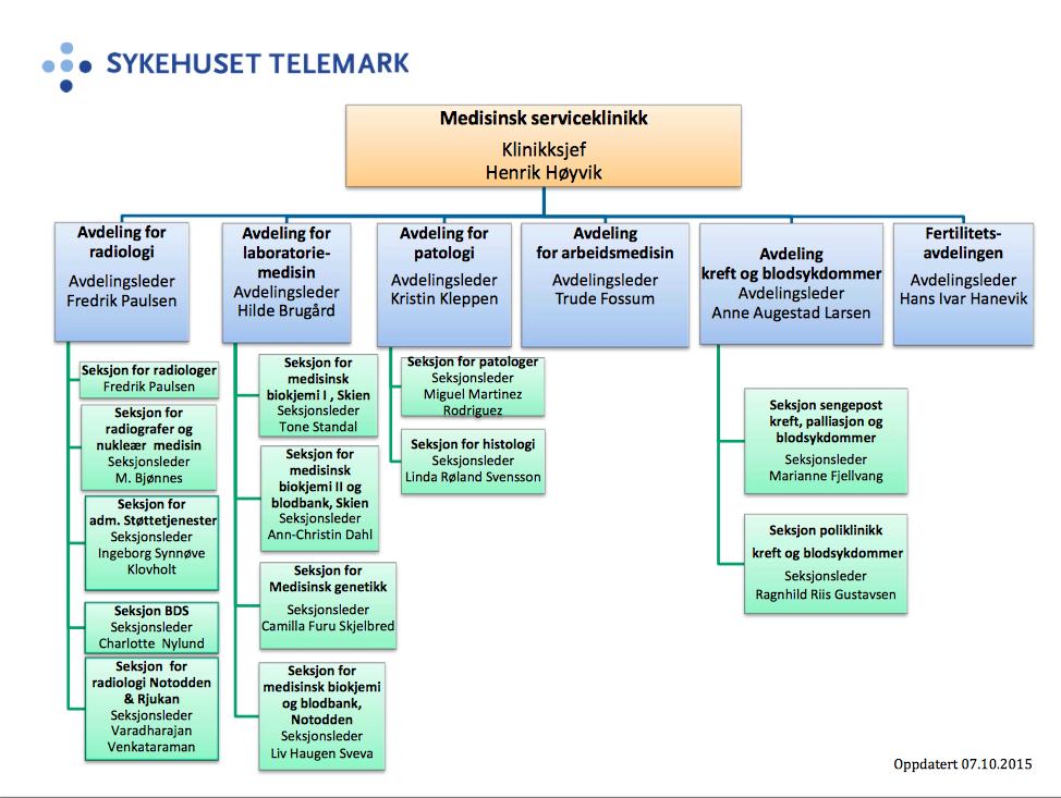 Figur 3: Organisasjonskart av Sykehuset i Telemark 50.