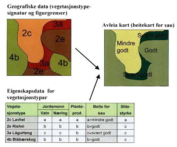 2.4 Bruk av vegetasjonskart Temakart: Informasjonen som ligg i vegetasjonskartet kan vera tungt tilgjengeleg utan botanisk og økologisk kunnskap.