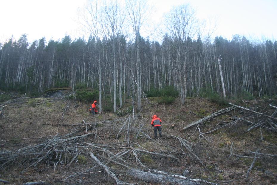 tid og sted der det har vært påkjørsler, slik at tiltak rettes mot de mest belastede strekninger.