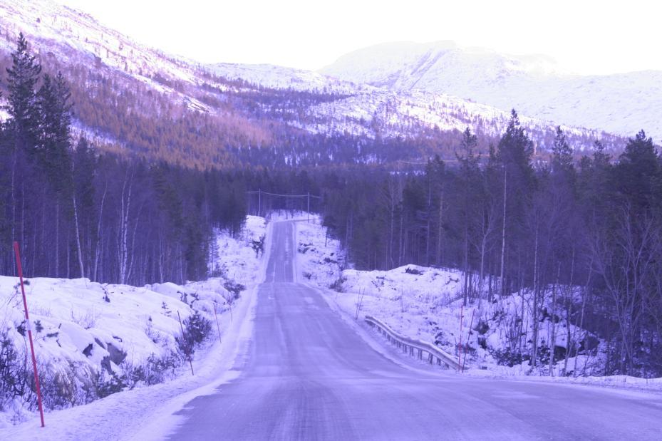 Utarbeidelse av framdriftsplan, og plan for vedlikeholdt av tidligere ryddede arealer.