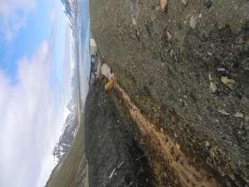 Grøften har en tydelig rødbrun farge, noe som tyder på jernutfelling (Figur 3). Figur 3. Avsluttet gruve, Svea vest.