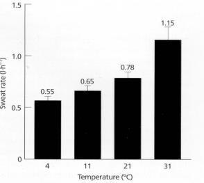 Reseptorer Osmoreseptorer i hypotalamus Hormoner ADH, aldosteron Atferdsmessige forhold Appetitt, tørste, salthunger Tap