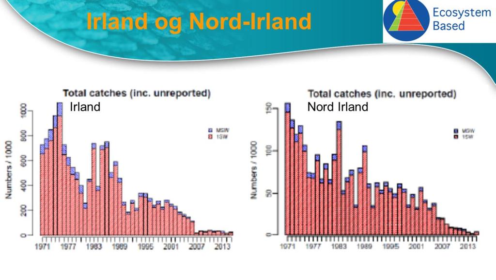 Ser vi tilsvarende på Irland og Nord-Irland ser vi en mye sterkere reduksjon i fangster.