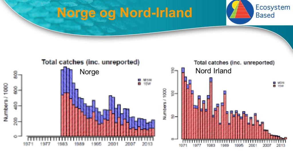 Sammenligner vi Norge og Nord-Irland ser vi at fallet i fangst er dramatisk større i Nord-Irland enn i Norge. I Nord-Irland har man en meget beskjed oppdrettsproduksjon av laks på under 500 tonn.