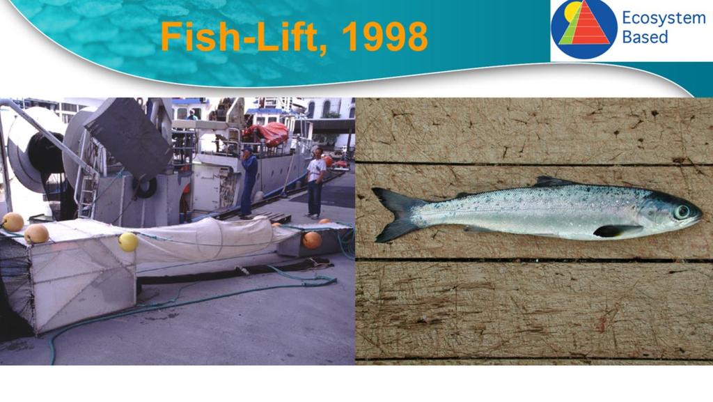 Det ble også utviklet et redskap for å fange uskadet smolt i fjordene for å kunne studere luspåslag, Fish-Lift.