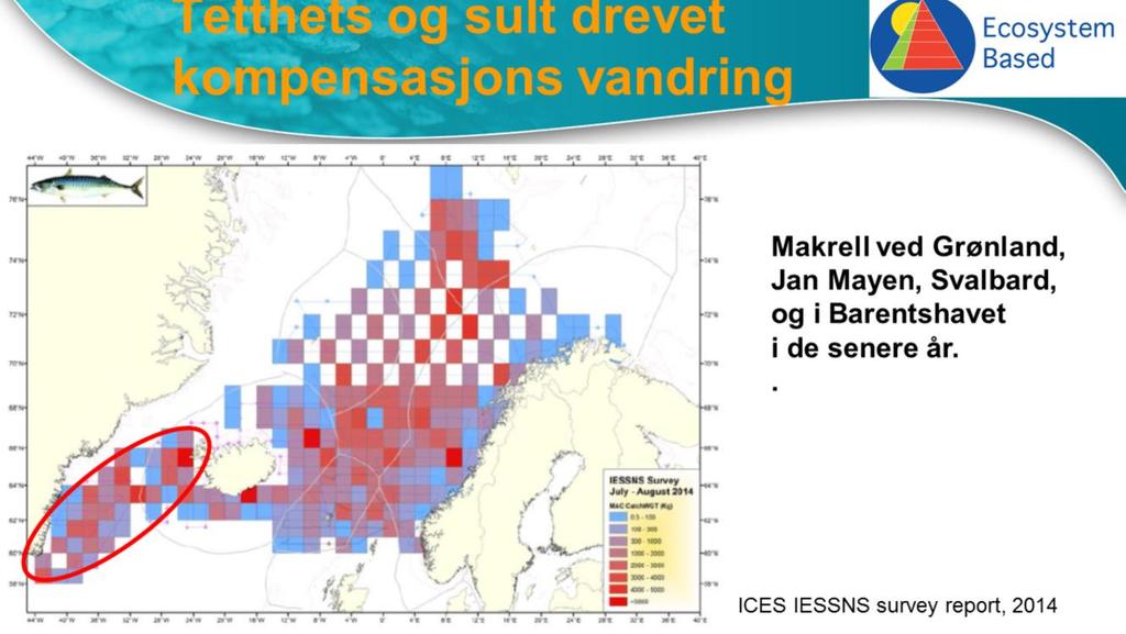 Makrellen har som nevnt over hatt en dramatisk bestandsvekst, men som ikke viser i det offisielle bestandsplottet over pga underestimering slik jeg ser det.