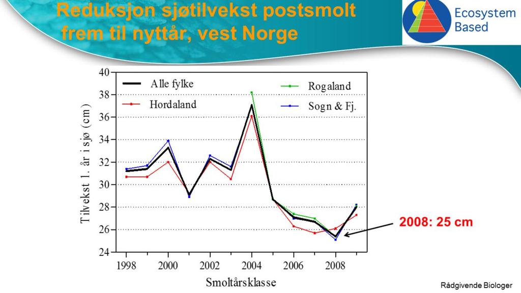 Her ser vi tilsvarende verdier for ulike vestlandselver fra 1998 til 2009.