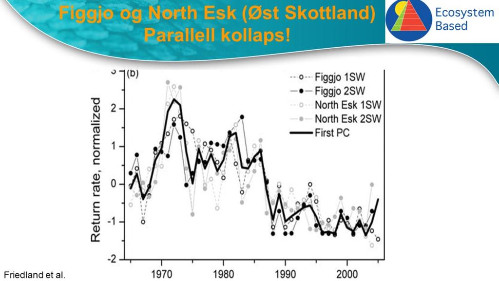 Her ser vi tilsvarende kollaps i tilbakevandring for Figgjo og North Esk i Øst Skottland.