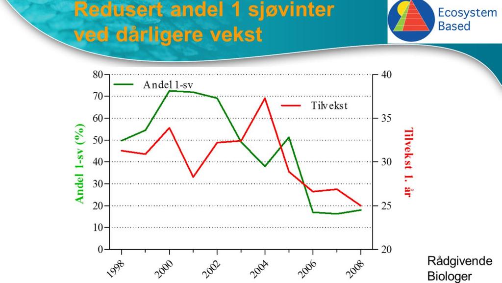 Når postsmolten får mindre mat vil den utsette modningen, dvs modne som flersjøvinterlaks i stedet for ensjøvinterlaks.