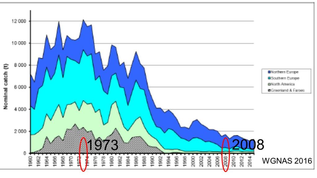 To sentrale år er 1973 og 2008.