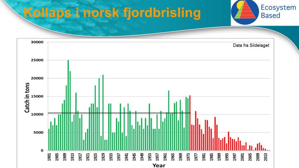 Vi har sett en total kollaps i norsk kystbrisling, den er rødlistet. Slik jeg ser det skyldes kollapsen i stor grad overbeting fra makrell.