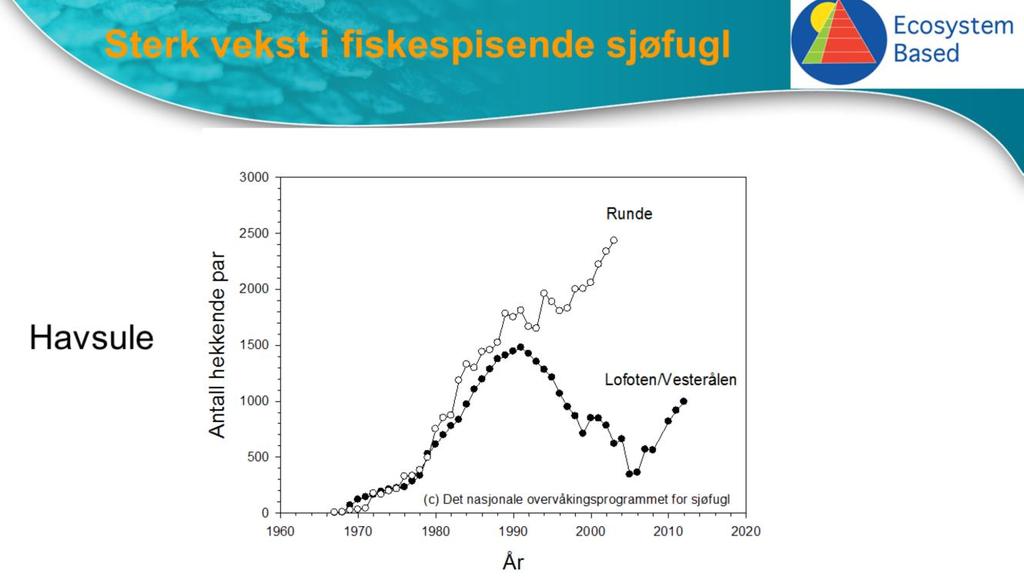 Men sjøfuglene som spiser pelagisk fisk som postsmolt laks, sild og makrell gjør det bra.