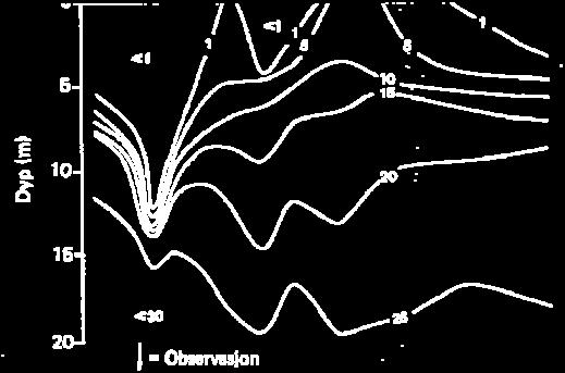 2 Biologiske forhold i den ferskvannsdominerte gruntvannssonen (< 5 10 m dyp) Dagens situasjon Planter Resipientundersøkelser i Drammenselva og Drammensfjorden på begynnelsen av 1970-tallet omfattet