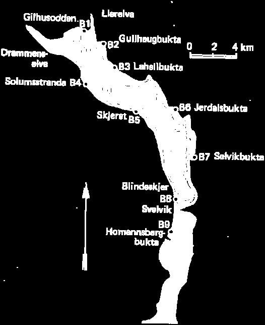 Innsamling med kjerneprøver slik de ble gjennomført av Bjørge m fl har imidlertid mange svakheter; få prøver med lite areal gir et usikkert estimat på tettheten av individer og vil i begrenset grad