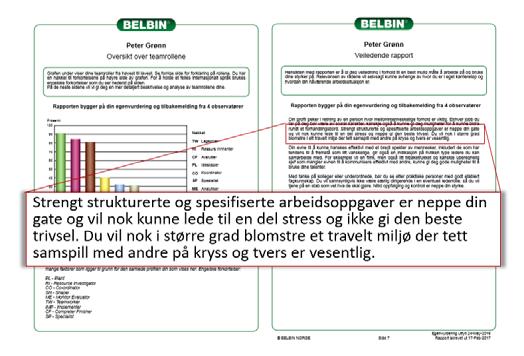 Dette kalles en rolleprofil. Se eksempel i fig. 3 og 4 Du får også rapport om gruppen eller teamet som helhet.