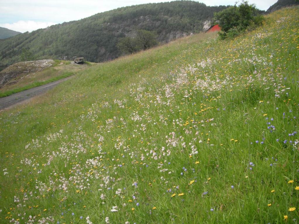 2011 frå UTM posisjon Ø:322530 N:6718663 mot nordvest.