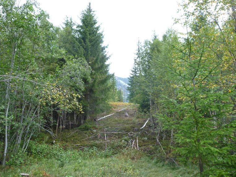 TERRENGET Planområdet består hovedsakelig av berg. I den nordlige og nordøstlige delen er det myr.