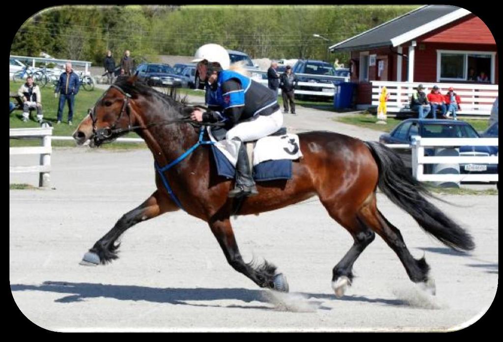 Resultatliste fra lokalkjøring på Kala Travpark Søndag 31. august 2014 Arr.