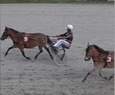 Ponniløp Tore Solbergs løp Skjønnsmessig handicap 1 Nr 5 Tilja 11 Elin Kristin Nilsen Marius Johansen 1 360 2.25,3 3:17,6 2 Nr 3 Nenne 7 Elin Kristin Nilsen Rebecca Vestby 1 100 3.