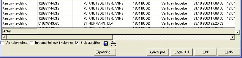 En kan foreta enkle utregninger i alle tallkolonner ved å sette på autofilter (klikke i ruten til venstre for teksten Bruk autofilter ).