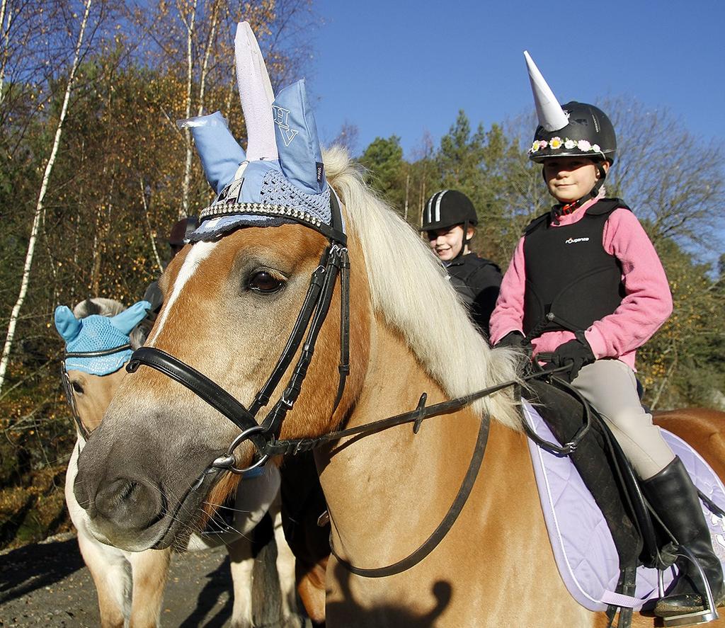 12 Juniorstyret Juniorstyret har bestått av: Synne Neeb Ida Storlid Vardund Siri Kvarsvik Arntzen Frøydis Nikita Nygaard Sveen Julie Aarlien Marte Snefjellå