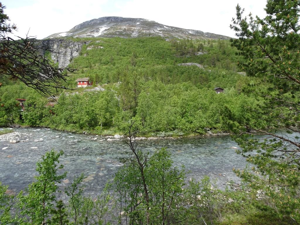 over brua knytt til merka stig til