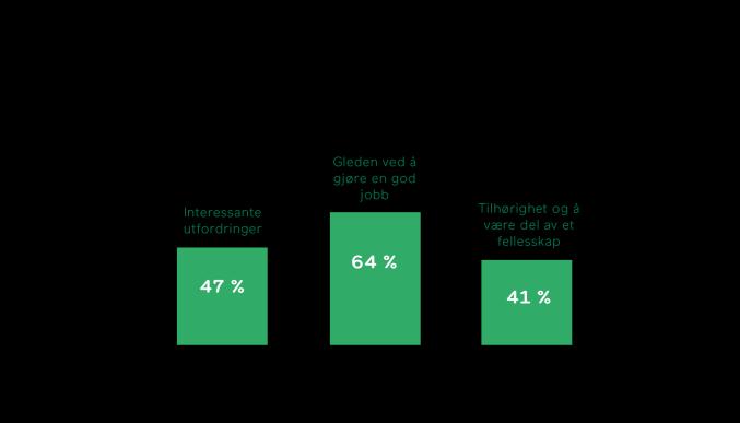 bruke vår kompetanse til å styrke de ansattes arbeidsevne uavhengig av årsak Vår erfaring er at arbeidsplassen gir en unik mulighet til å påvirke og ivareta ansatte