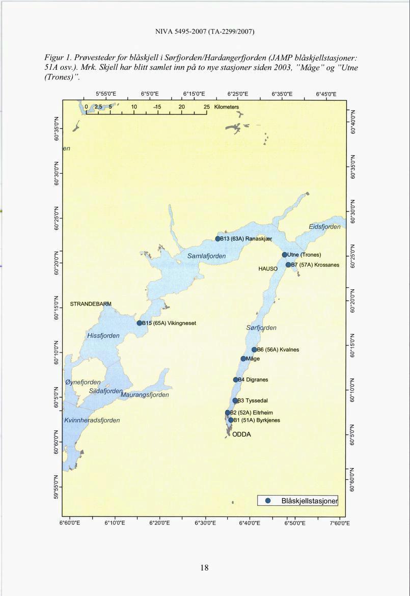 Figur 1. Prøvestederfor blåskjell i Sørfjorden/Hardangerfjorden (JAMP blåskjellstasjoner: 51A osv.