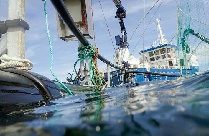 Foto: Steinar Haugberg/Sjøfartsdirektoratet. 16 så alvorlige at de medførte forlis. Dette er en nedgang sammenlignet med 2015 hvor Sjøfartsdirektoratet registrerte 22 forlis.