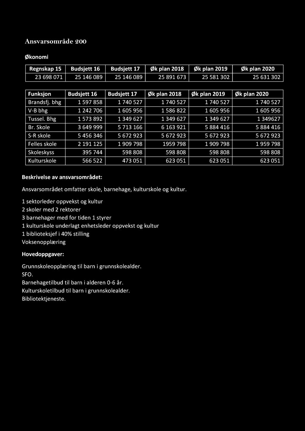 Ansvarsområde 200 Økonomi BUDSJETT 2017 M/INVE STERING OG ØKONOMIPL AN 2017-2020 Regnskap 15 Budsjett 16 Budsjett 17 Øk plan 2018 Øk plan 2019 Øk plan 2020 23 698071 25146089 25146089 25 891673