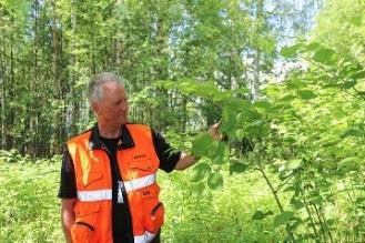 OSL har for andre år på rad i feriesesongen gitt veiledning via ulike sosiale media til de reisende om ikke å kjøpe med seg «truede ferieminner» som blant