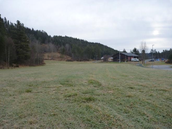 TERRENGET Terrenget i planområde består hovedsakelig av skogsbevokste flater og våtmarksområder.