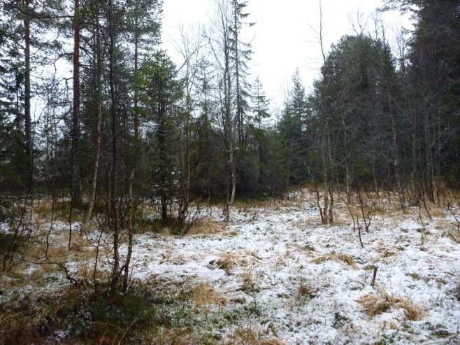 Flere bygninger og asfaltveier ligger i område, blant annet et begravelsesbyrå, et alderspensjonat