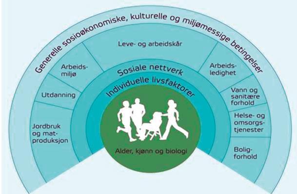 (Whitehead og Dahlgren, 1991 Den sosiale helsemodellen) Denne «sosiale helsemodellen» viser hvordan samfunnet virker inn på enkeltpersoner og forutsetningene for å gjøre gode valg.