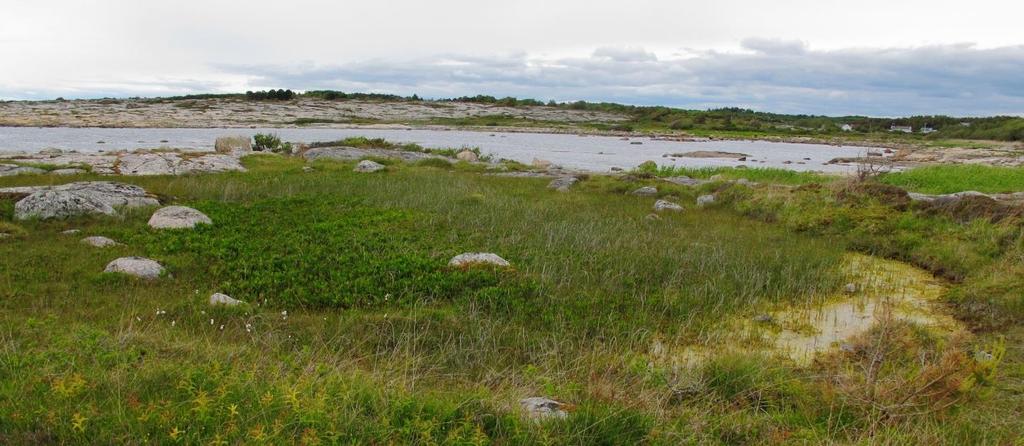 Vannstanden i dette lille tjernet er lav allerede på våren, og ikke mer enn ca. 10 cm. Utover sommeren dominerer vegetasjonen mer og vannstanden fortsetter å synke.