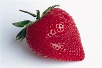 Omsetting av økologiske jordbær Agder Bær og Grønt AS har i samarbeid med Landbruksrådgiving Agder og Oikos fått innvilga et prosjekt som skal arbeide med omsetting av økologiske jordbær på Agder.