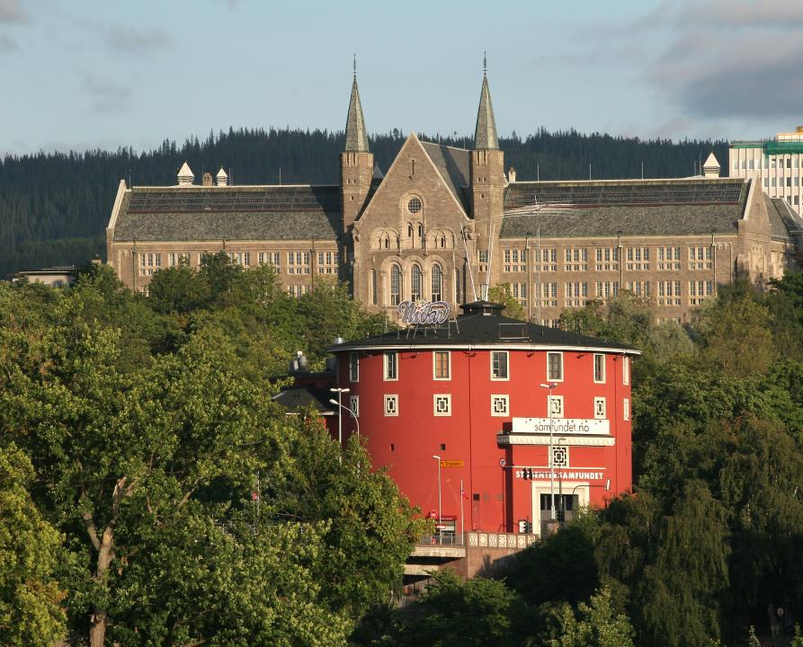 Kjennskap til næringsaktørene Forståelse for produksjonsprosessene Teoretisk kompetanse