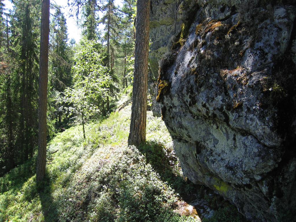 Bilder fra området Djupendal Fattige berg i