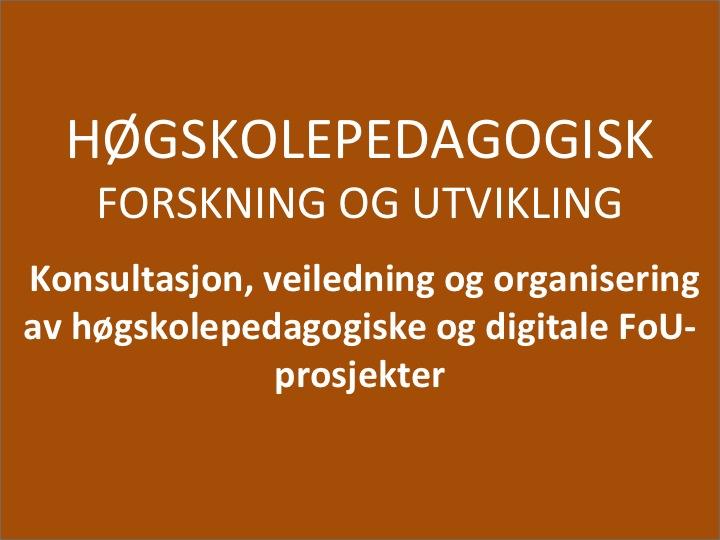 Høgskolepedagogisk forskning og utvikling Høgskolepedagogisk utviklingsarbeid og forskning er i den aktuelle perioden særlig knyttet til HIØs digital satsning på fleksible studier.