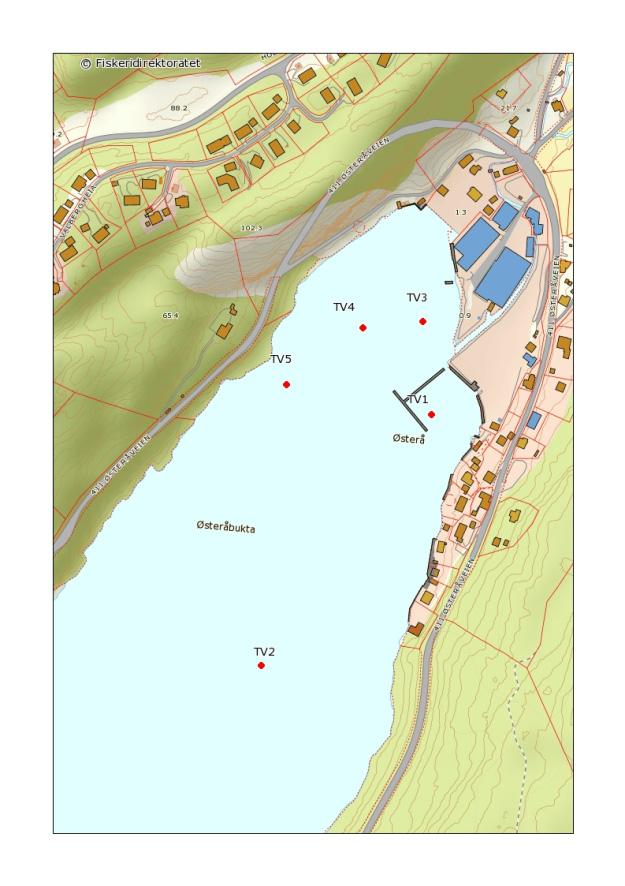 Fra alle stasjonene ble det tatt prøver av det øverste sedimentsjiktet (0-2 cm) for analyse av miljøgifter. Sedimentenes farge, lukt og synlige dyr ble registrert i felt (Tabell 1).