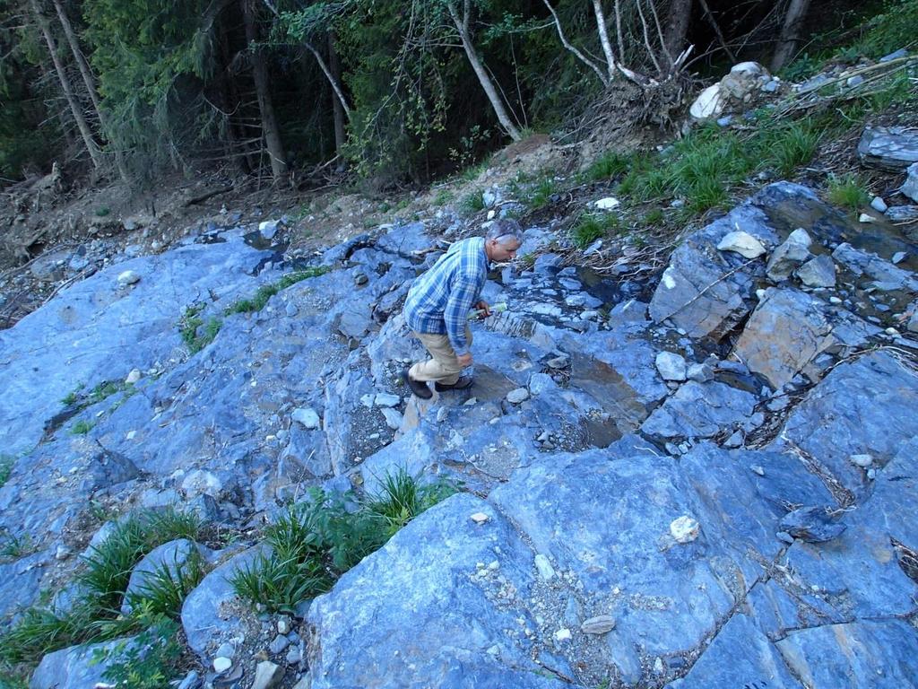 Aurdal, skredfarevurdering 28 4.3.2 Utløsningsområder Terrenget ovenfor boligfeltet er bratt nok til at snøskred kan utløses.