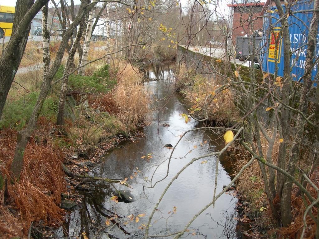 UTLØP FRA LIAVATNET Utløpet fra Liavatnet er utformet som en kanal med 3-4 meters bredde, bunnsubstratet er stein med mudder mellom, det er lite begroing.